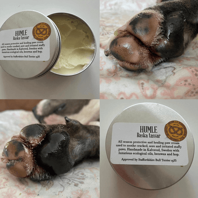 Staffordshire Bull Terrier 1935® Paw Cream