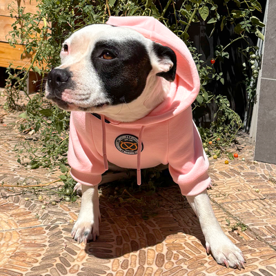 Staffordshire Bullterrier 1935® Hoodie - Babyrosa