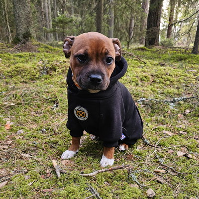 Staffordshire Bullterrier 1935® Hoodie - Svart