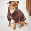 Staffordshire Bull Terrier 1935® Sweats à capuche - Chocolat