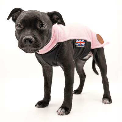 Staffordshire Bull Terrier 1935® Manteau Polaire Chiot - Bébé Rose Nouveau