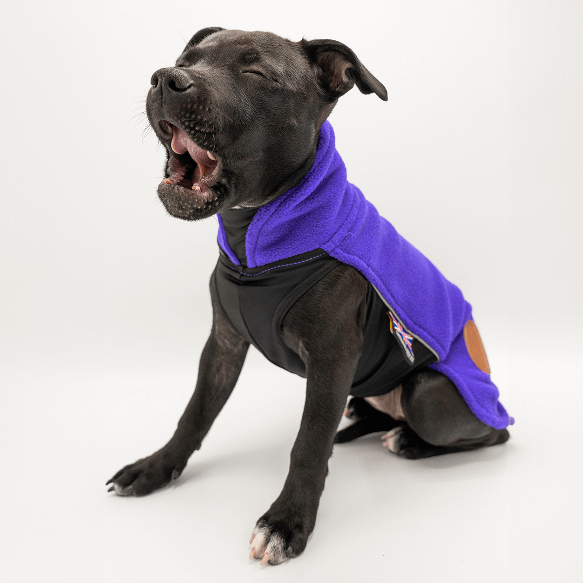 Staffordshire Bull Terrier 1935® Puppy Fleece Coat - Dark Purple