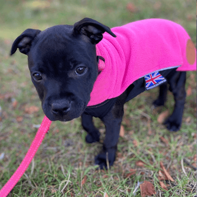 Staffordshire Bull Terrier Puppy Fleece Coat - Staffordshire Bull Terrier 1935®