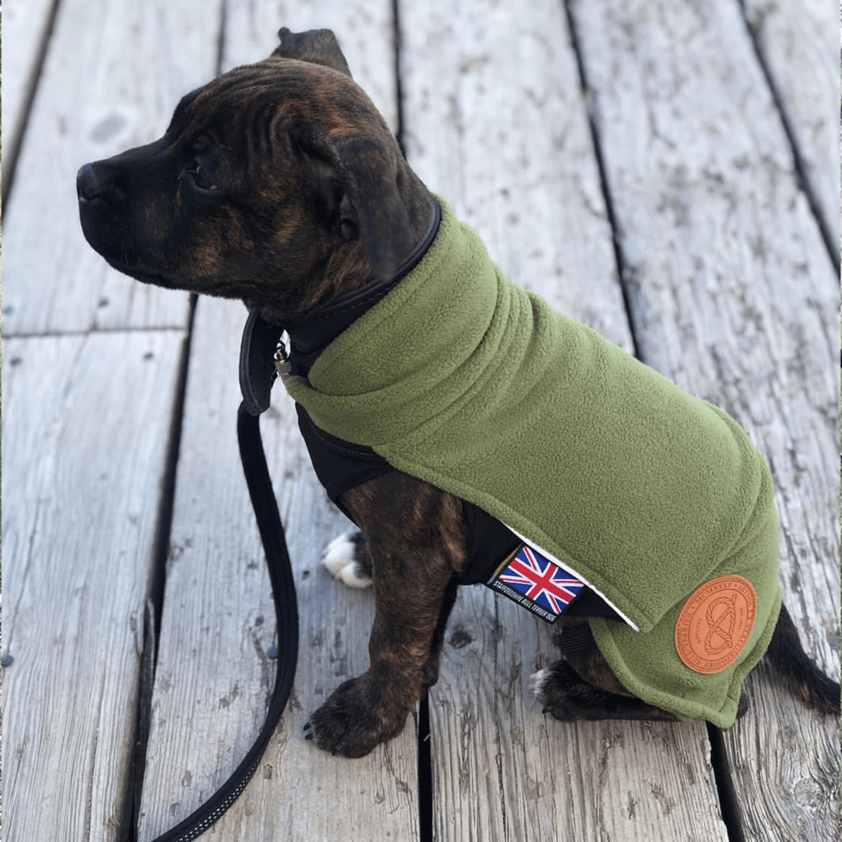 Staffordshire Bull Terrier Puppy Fleece Coat - Staffordshire Bull Terrier 1935®