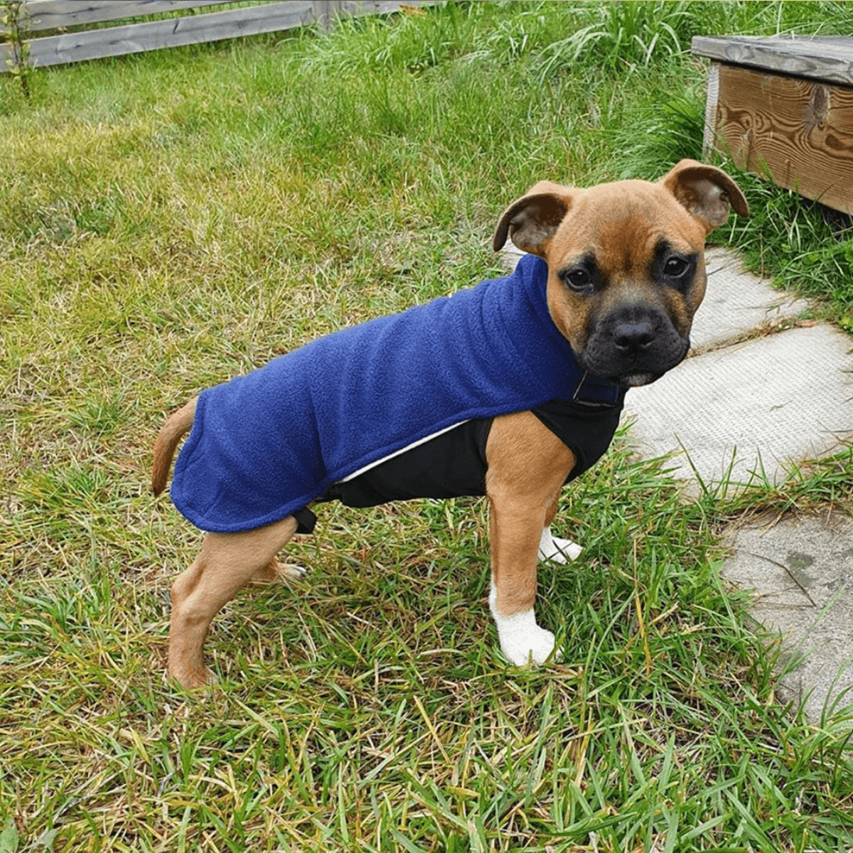 Staffordshire Bull Terrier 1935® Puppy Fleece Coat - Navy Blue