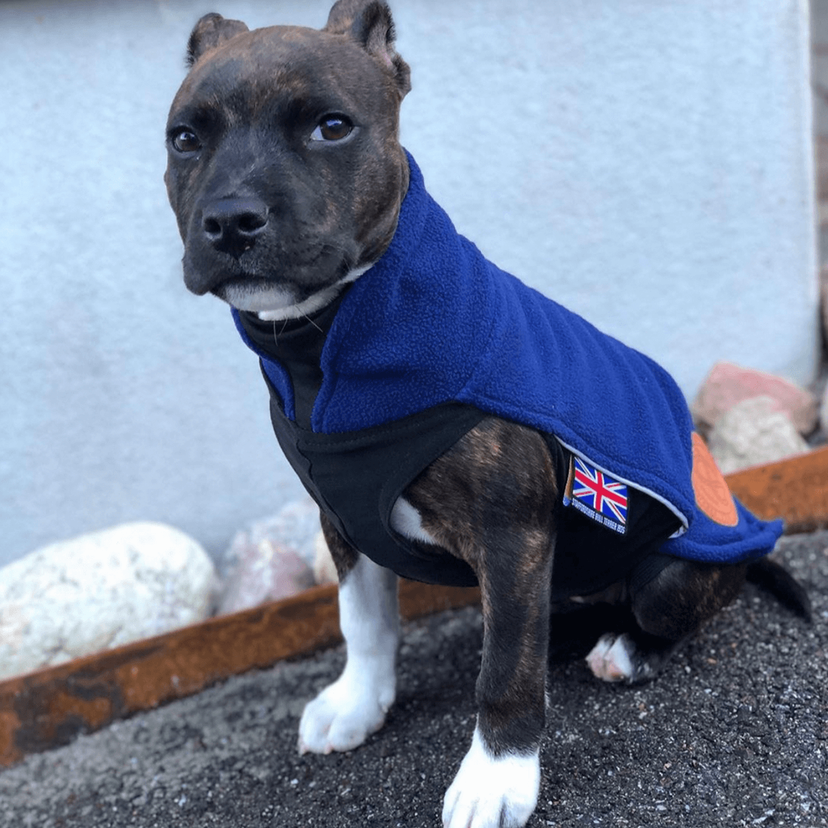 Staffordshire Bull Terrier 1935® Puppy Fleece Coat - Navy Blue