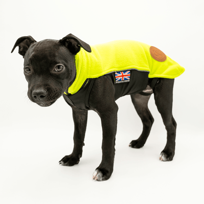 Staffordshire Bull Terrier 1935® Manteau Polaire Chiot - Vert Fluo