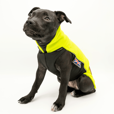 Staffordshire Bull Terrier 1935® Puppy Fleece Coat - Neon Green