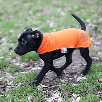 Staffordshire Bull Terrier 1935® Puppy Fleece Coat - Orange