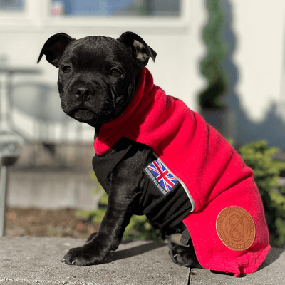 Staffordshire Bull Terrier 1935® Manteau Polaire Chiot - Rouge