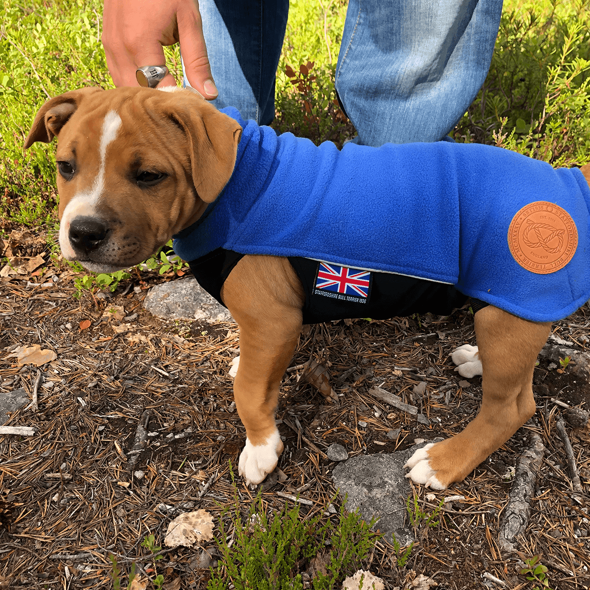 Staffordshire Bull Terrier Puppy Fleece Coat - Staffordshire Bull Terrier 1935®