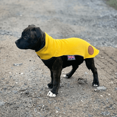 Staffordshire Bull Terrier 1935® Puppy Fleece Coat - Yellow