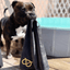 Staffordshire Bull Terrier 1935® Towel - Black