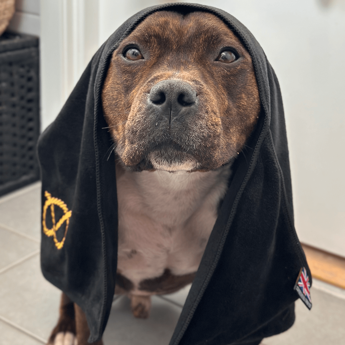 Staffordshire Bull Terrier 1935® Towel - Black