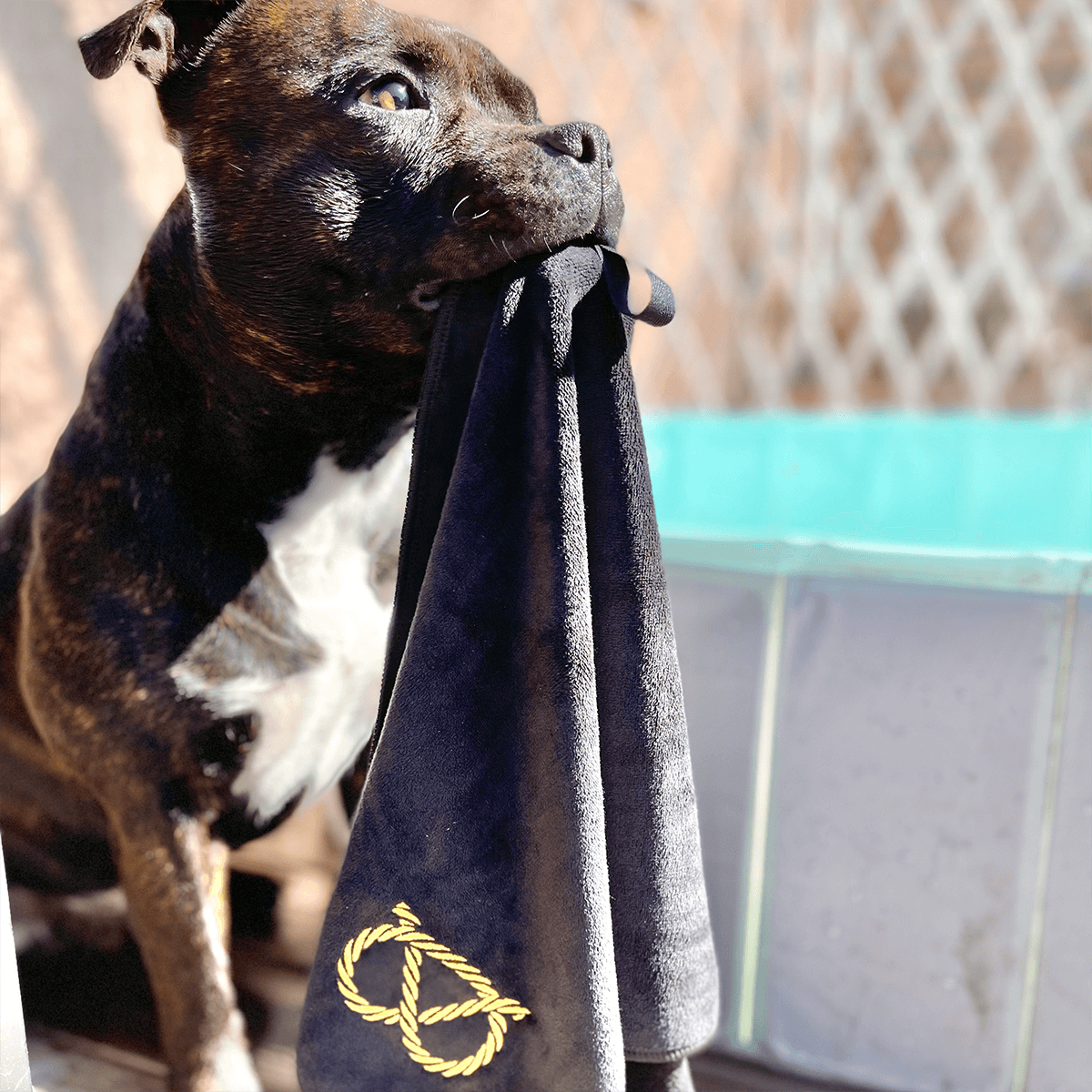 Staffordshire Bull Terrier 1935® Towel - Black