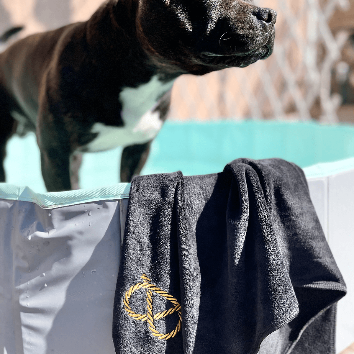 Staffordshire Bull Terrier 1935® Towel - Black