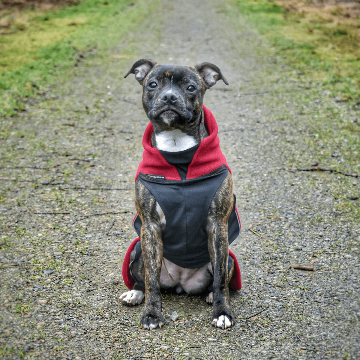 Staffy Fleece Coat - Staffordshire Bull Terrier 1935®