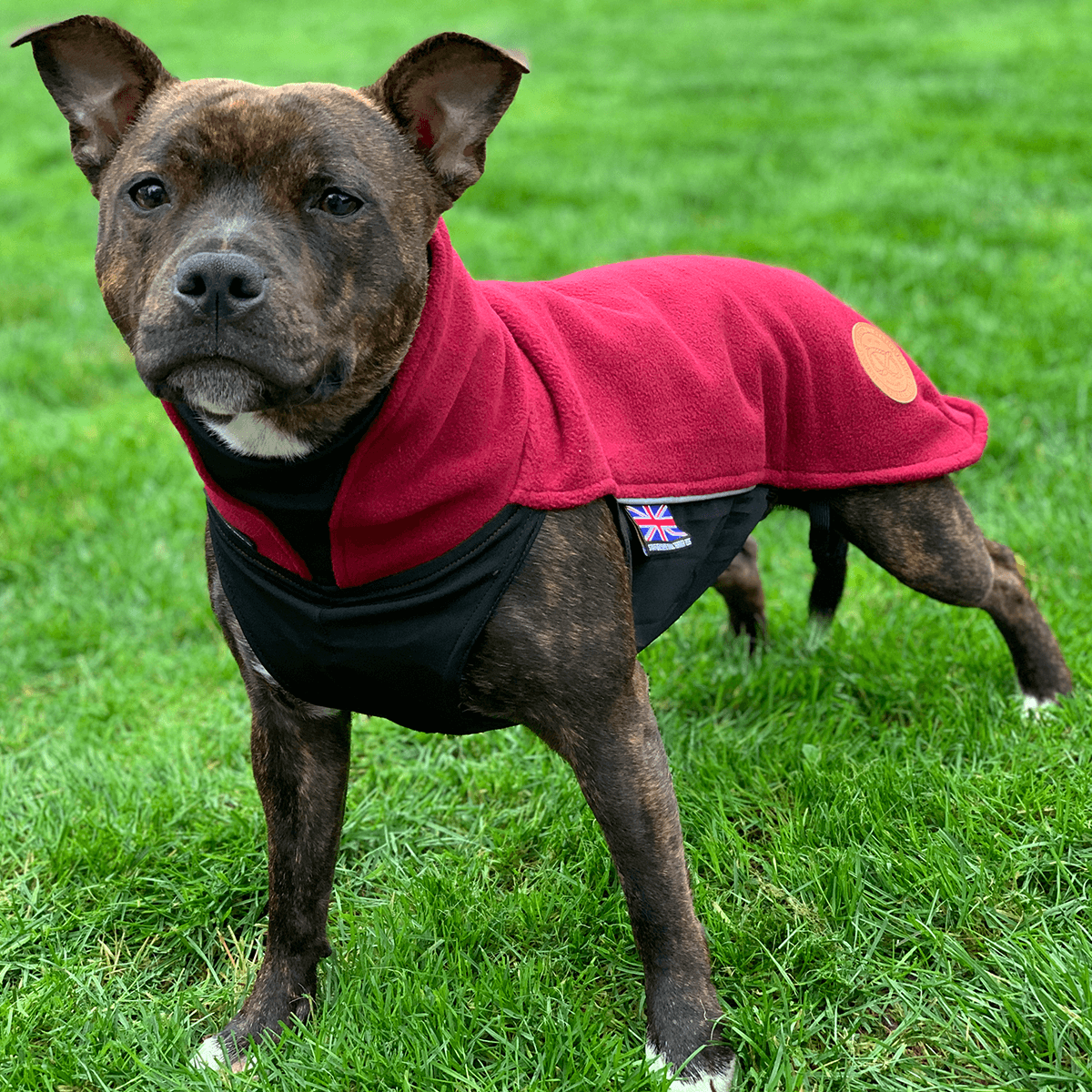 Staffy Fleece Coat - Staffordshire Bull Terrier 1935®