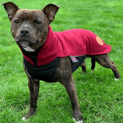 Staffy Fleece Coat - Staffordshire Bull Terrier 1935®