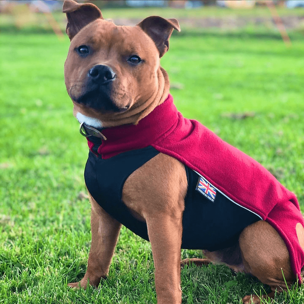 Staffy Fleece Coat - Staffordshire Bull Terrier 1935®