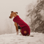 Staffy Fleece Coat - Staffordshire Bull Terrier 1935®