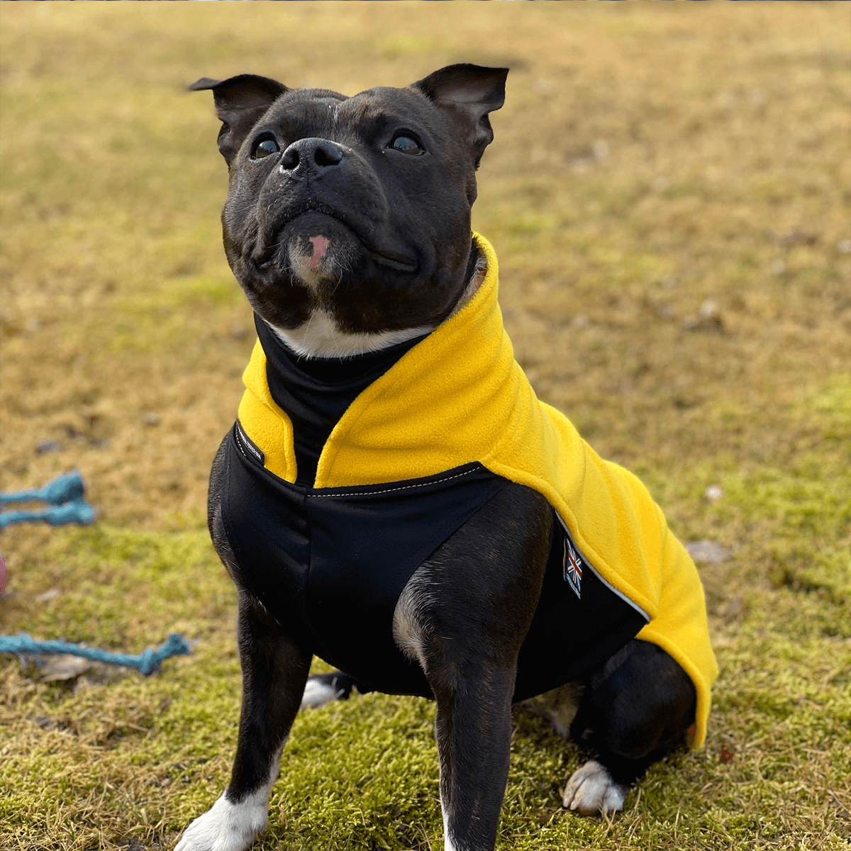 Fleece Coat - Staffordshire Bull Terrier 1935®