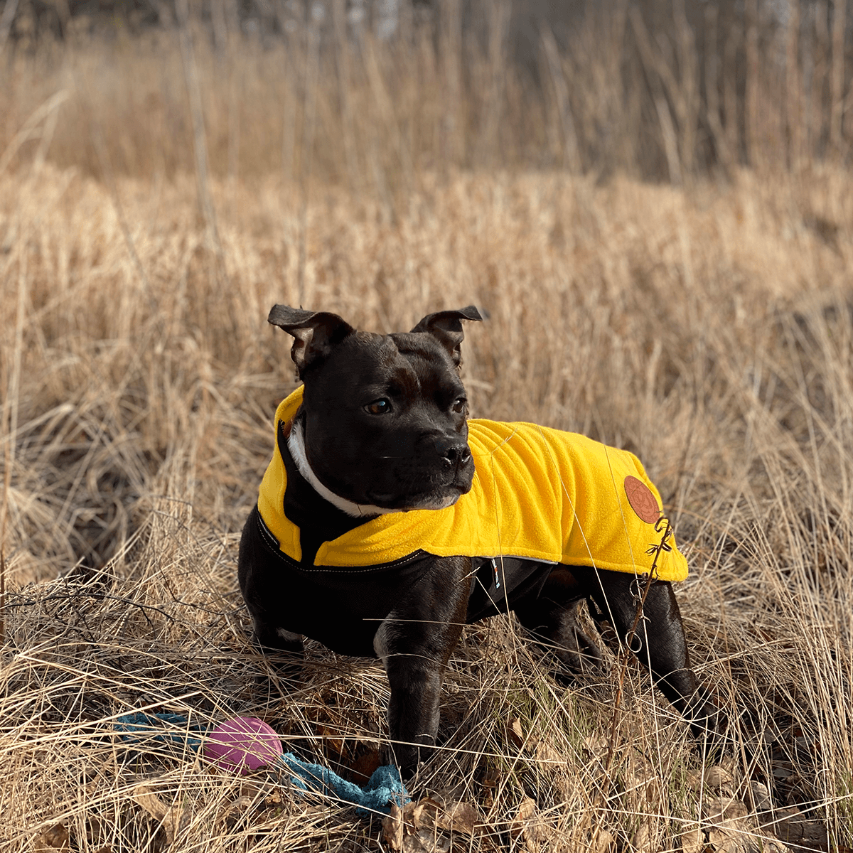 Fleece Coat - Staffordshire Bull Terrier 1935®